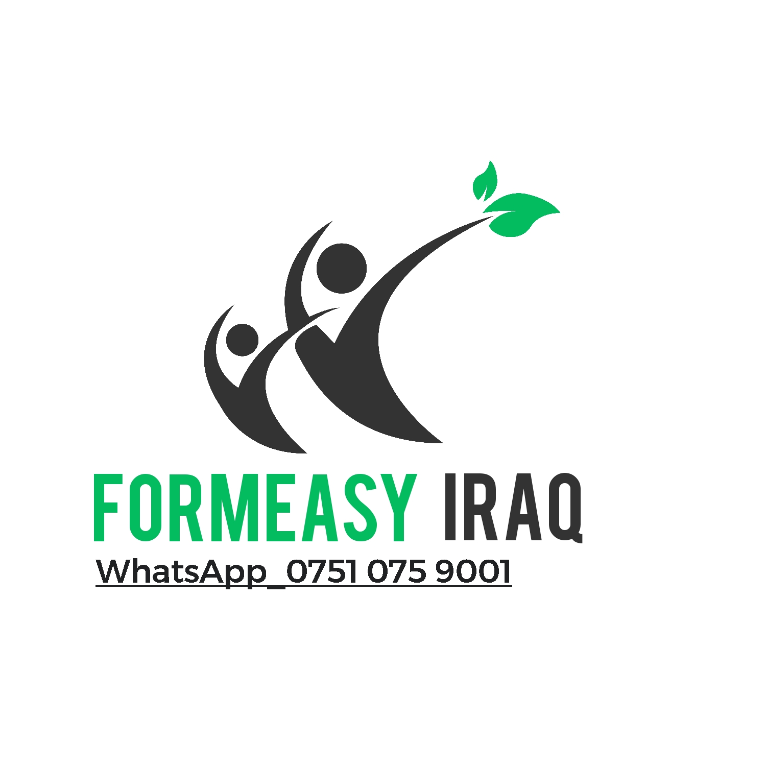 FORMeasy Iraq